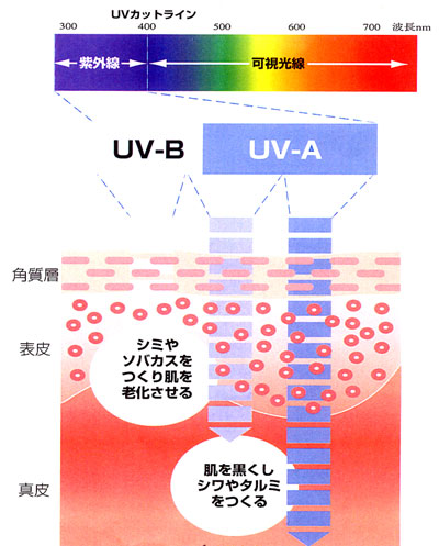 UV02